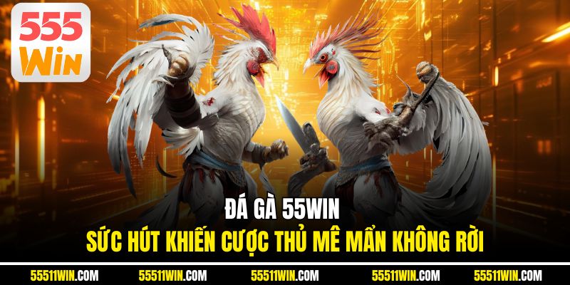 Đá gà 55WIN - Sức hút khiến cược thủ mê mẩn không rời