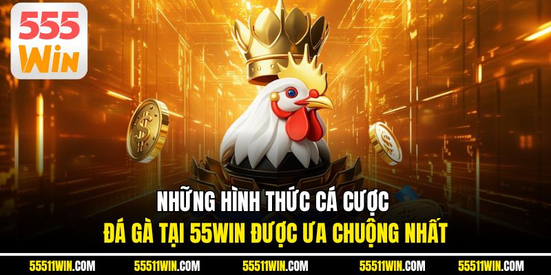 Những hình thức cá cược đá gà tại 55WIN được ưa chuộng nhất