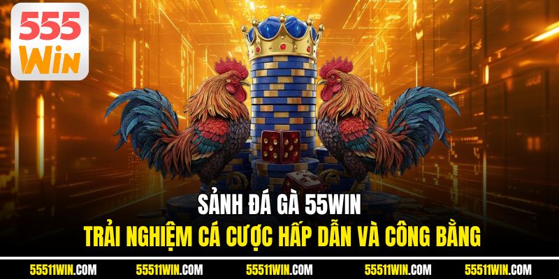 Sảnh Đá Gà 55WIN – Trải Nghiệm Cá Cược Hấp Dẫn Và Công Bằng