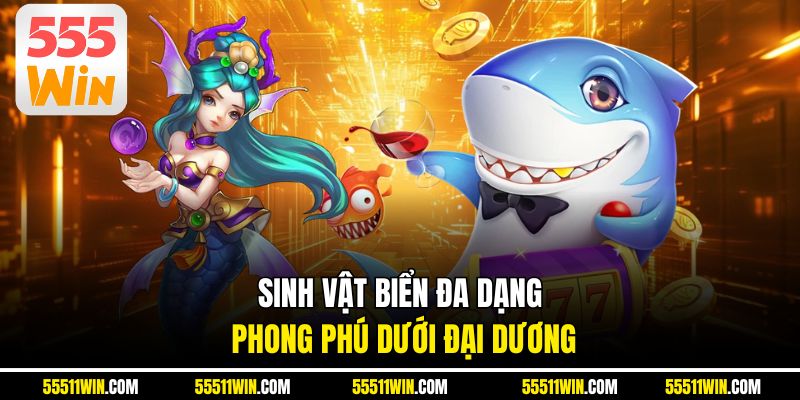 Sinh vật biển đa dạng, phong phú dưới đại dương