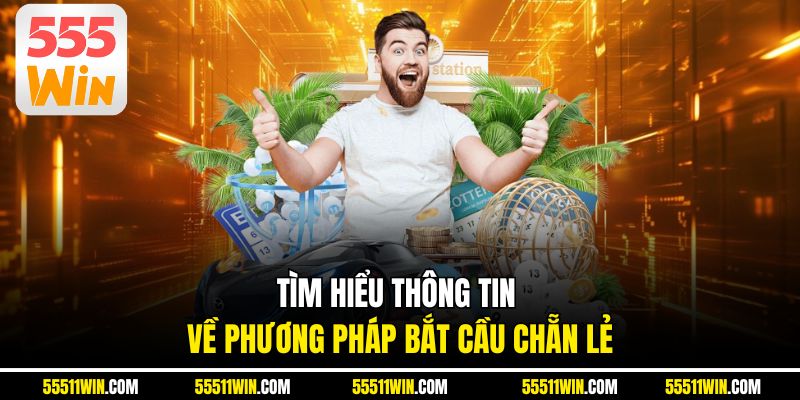 Tìm hiểu thông tin về phương pháp bắt cầu chẵn lẻ