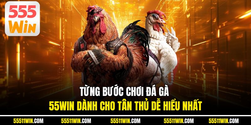 Từng bước chơi đá gà 55WIN dành cho tân thủ dễ hiểu nhất